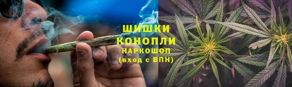 гидра Магас