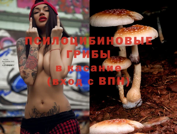 гашик Магадан