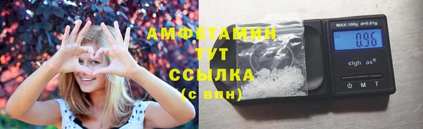 гидра Магас
