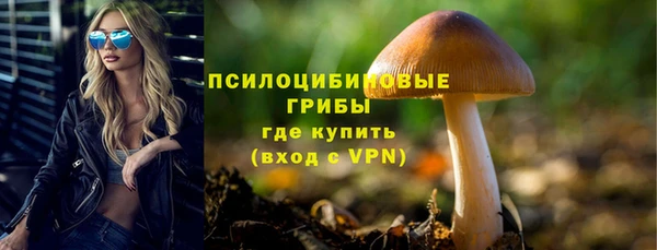 гидра Магас