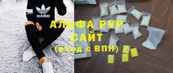 гидра Магас